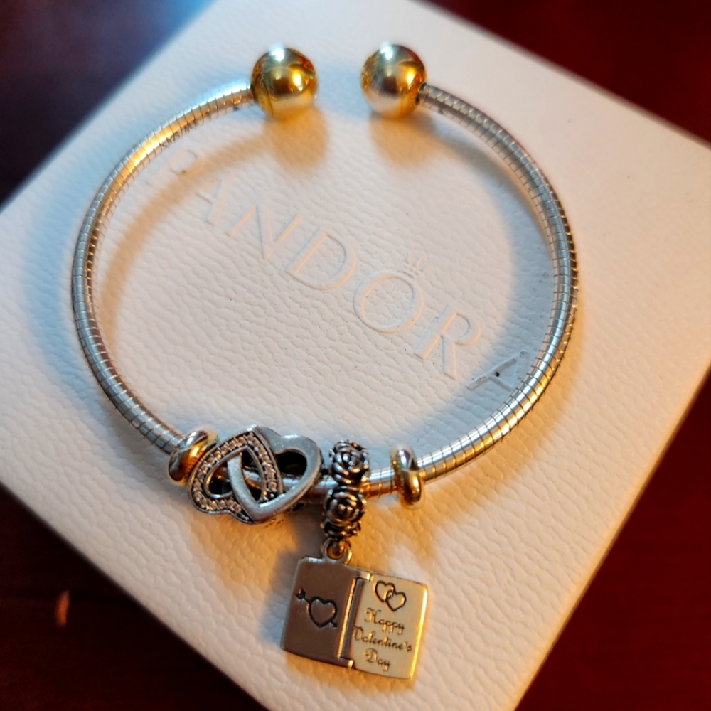 Pandora Bracelet